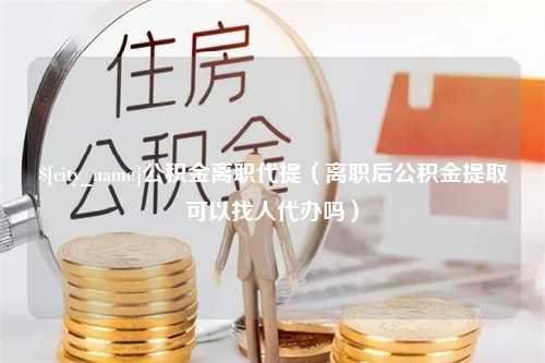 定安公积金离职代提（离职后公积金提取可以找人代办吗）